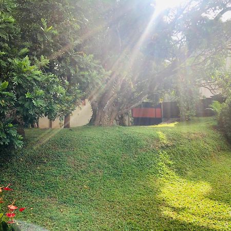 47 Alfred House - Free Pickup From Kandy City Екстериор снимка