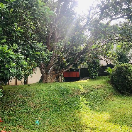 47 Alfred House - Free Pickup From Kandy City Екстериор снимка