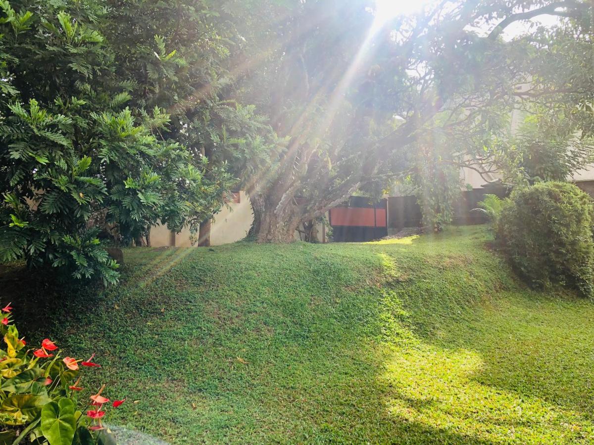 47 Alfred House - Free Pickup From Kandy City Екстериор снимка
