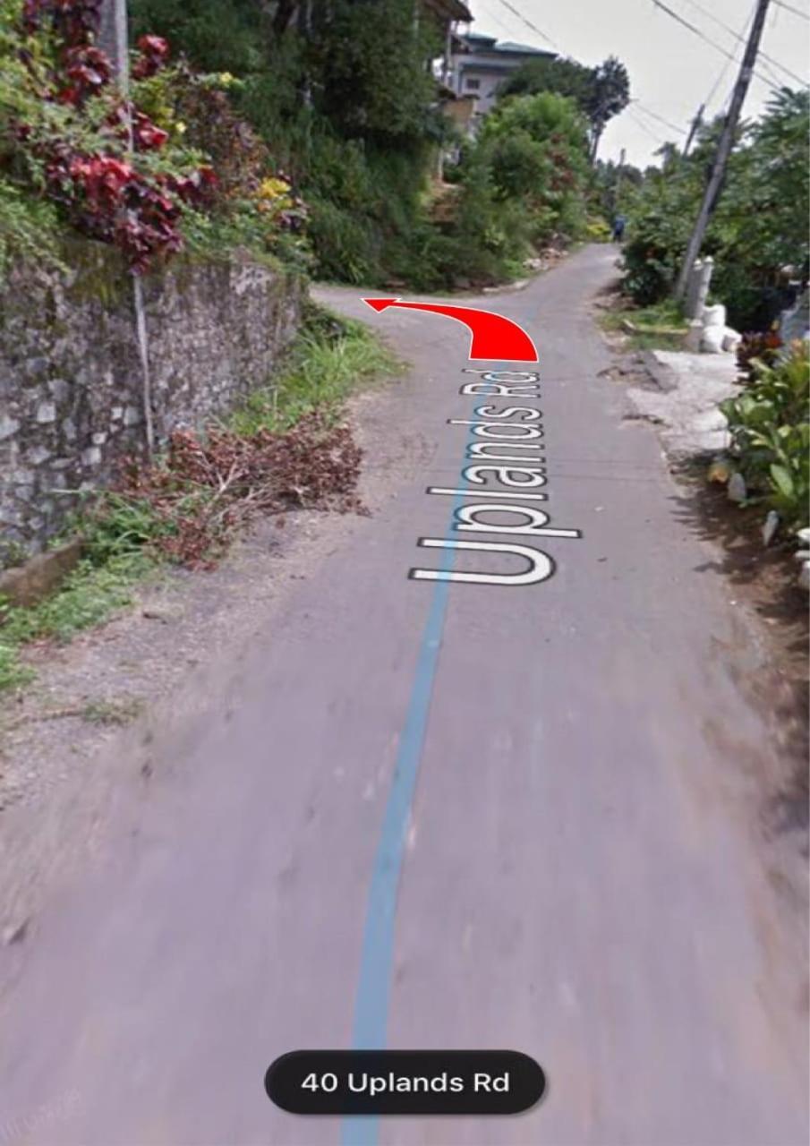 47 Alfred House - Free Pickup From Kandy City Екстериор снимка